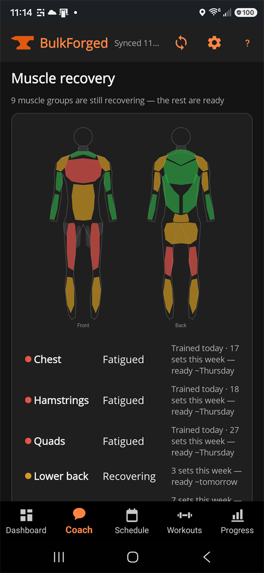 Front and back body silhouettes shaded green, amber and red, above a list reading "Chest — Fatigued — trained today, 17 sets this week, ready ~Thursday" and similar rows for hamstrings, quads and lower back.